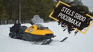 Обзор снегохода STELS S800 Росомаха - самый бюджетный SWT на вторичном рынке!