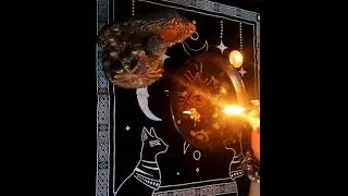 отливка для мужчин.  Её мысли, планы и намерения.
