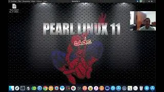 Pearl Linux OS 11 - visão geral do sistema