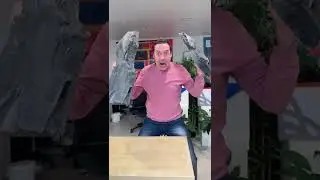 Имитация камня на стене: создаем фактуры и текстуры 