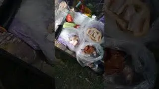 Завтрак рыбака