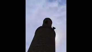 20 июня 2021 г.