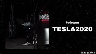 POLEARM - TESLA2020