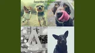 Modern Schlafender Hund