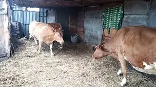 Грустный ролик