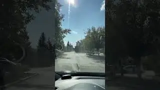 Место где на экзамене подставляет крона дерева, скрывая знак