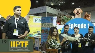 PET EXHIBITION AT DELHI ! || EXOTIC PETS || AQUARIUM DISPLAY || BEST PET EXHIBITION