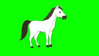 Horse green screen no copyright free video/Horse green screen video