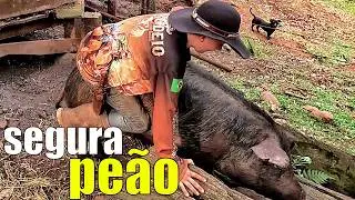 fui ver meu porco e pegar muda de cana