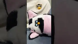 Duck Soup but it's Furby Soup