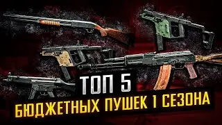Топ-5 Бюджетных Сборок Пушек 1 сезона в Arena Breakout: Infinite для Фарма и Нагиба! | 