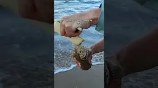 A mission with an unexpected result