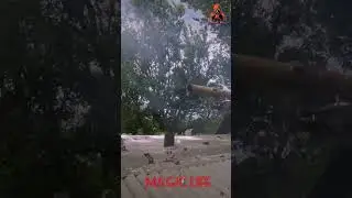 Своих не бросаем.