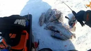 Ловля форели в мороз, такое бывает только в Юсупово
