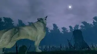 DARK SOULS™  REMASTERED - случайно встретил волка