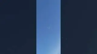 Голуби в небе.