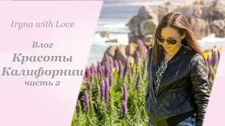 VLOG 2: Красоты Калифорнии, кормим земляных белок, ШОК!!!