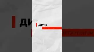 Присоединяйтесь к дружной команде читателей https://dich.media