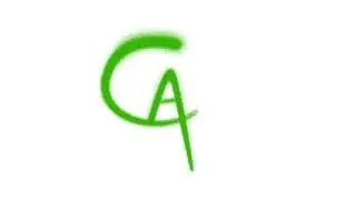 CapZee Spraypaint Logo