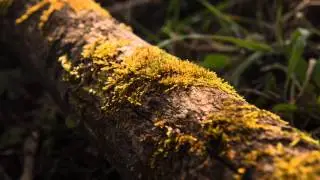 test1080