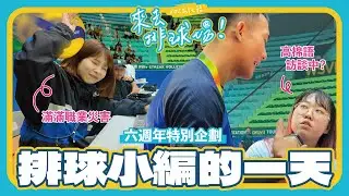 排球小編的一天  坐在場邊各種被球打 外國球員語言不通也能訪？｜來去排球場 EP.20｜VOL SPORTS