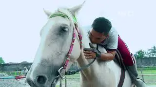 Taman Berkuda Satu-satunya di Kota Medan (Horse)