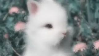My new intro!!//New Oc!