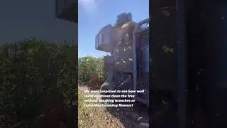 Mechanical Coffee Harvesting in Brazil