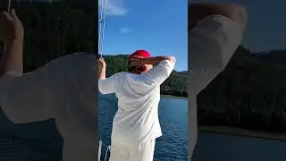 Смотри какая красота!