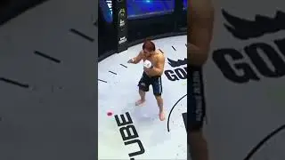 Чемпионский бой по правилам MMA