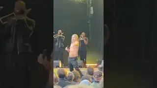 Iggy Pop Hamburg June 20th Now I Wanna be your dog