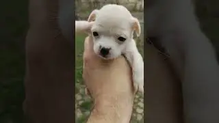 Ребят привет. Я снежинка♥️♥️