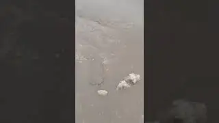 В Москве резко тает снег 😱