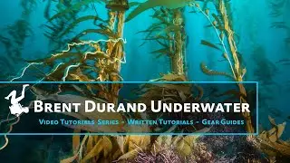 Brent Durand Underwater Photo Tutorials - Trailer