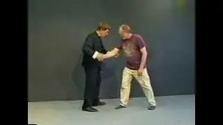 Yang Style Tai Chi Long Form Master Course - Lesson 30