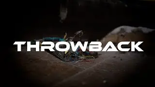Kojakdon ft. Soberito & Matty Flacko - Throwback (official video)