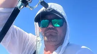 Fishing from a SUP board on the Black Sea Horse mackerel on empty hooks