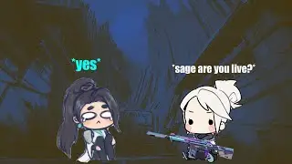 I Met A Streamer In Valorant  (Bronze)