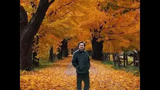 ДДТ - 20 любимых песен (попурри). К дню рождения ЮЮ