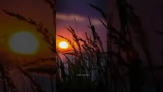 Nee Kaatru Naan Maram Whatsapp Status #tamilmelodysong #tamilwhatsappstatus