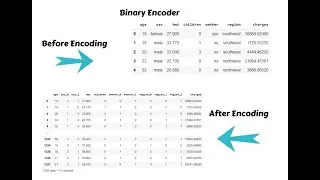 Data science project: Feature Engineering| Binary Encoding |Encoding Technique