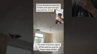 Professional Tenants At It Again.  