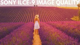 Sony Ilce-9 📸 Sample Photography - Image Quality
