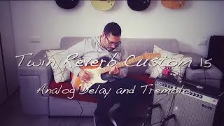 Analog Delay and Tremolo: superb tone with Boss DM-2w Waza and Fender '65 Twin Reverb Custom 15