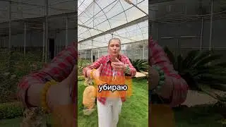 Чистка накручивания себя #чистки  #энергетическиепрактики #асмрвидео #асмр #￼накручи￼ваниесебя