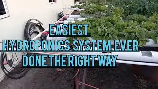 A Walk-through Hydroponics System. DIY Cheapest Efficient Professional System for Beginners