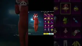 Новый кейс на Корее с кабанчиком 