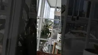Adoş dan uydurmasyon şarkı..kemonun kistığı sesime inat ben hala şarkı söylüyorum..