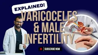 Varicoceles & Male Infertility: Causes, Treatment & When to Seek Help | Dr. Premal Patel