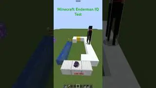 Minecraft Enderman IQ Test 🤣 #shorts